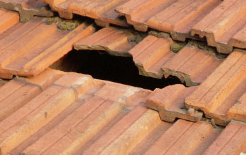 roof repair Llwyn Y Go, Shropshire